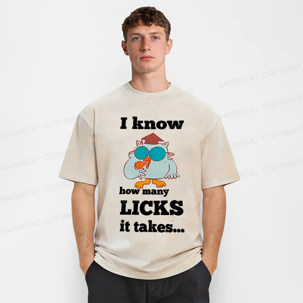Baddiecat I Know How Many Licks It Takes Washed T-Shirt