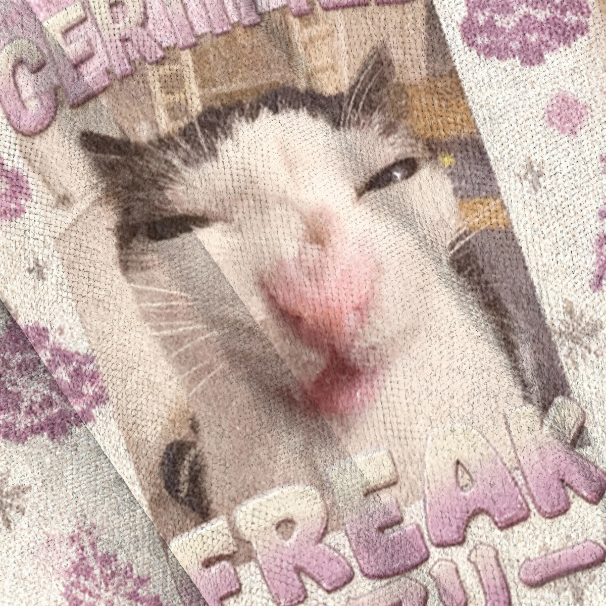 Baddiecat Funny Certified Freak Cat Meme Christmas Ugly Sweatshirt