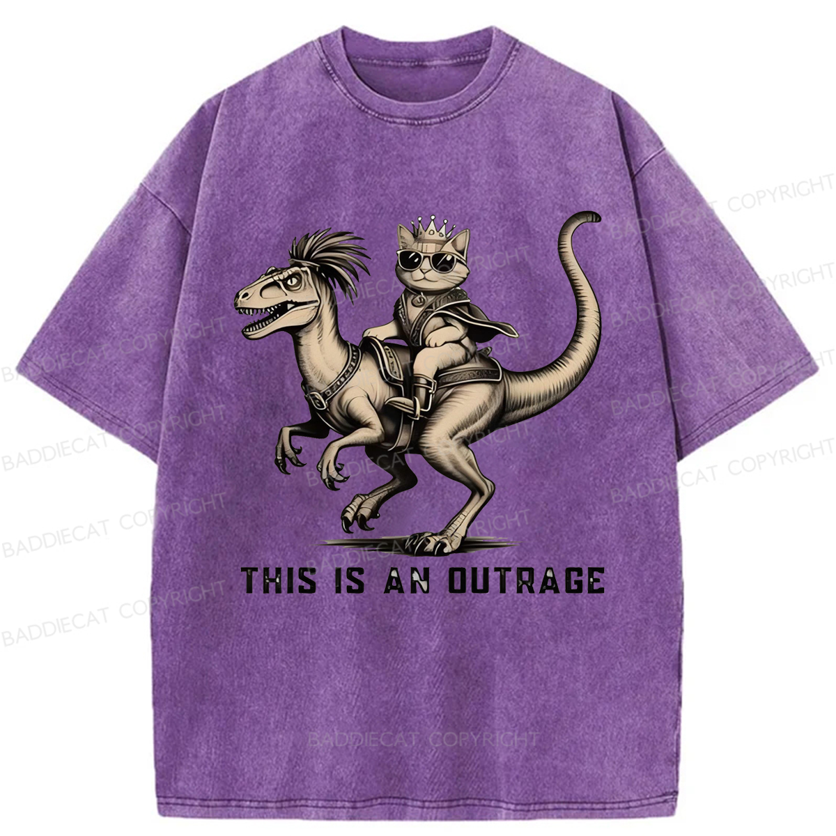 Baddiecat Princess Donut and Mongo Washed T-shirt
