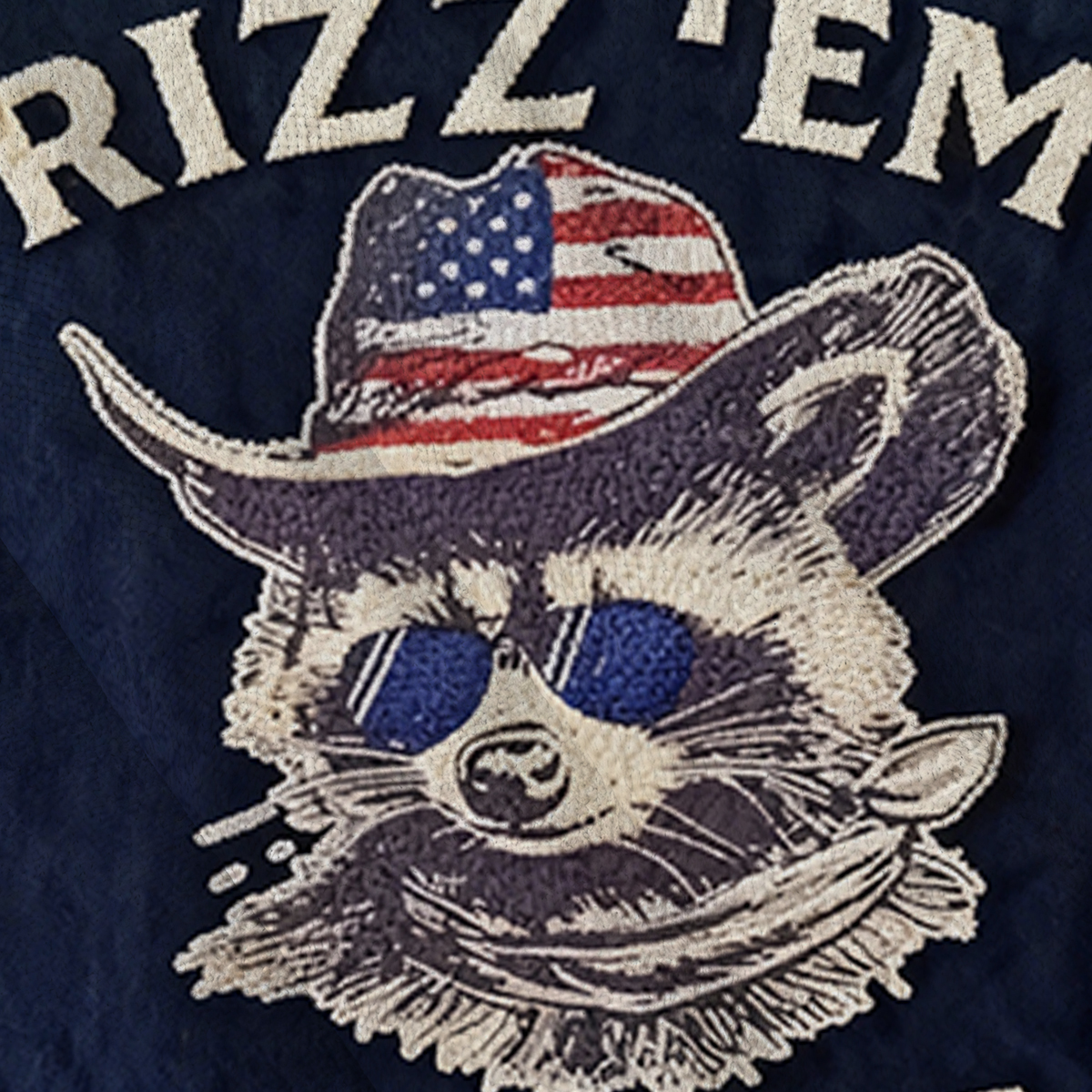 Baddiecat Raccoon Rizz Em With The Tism Ugly Sweatshirt