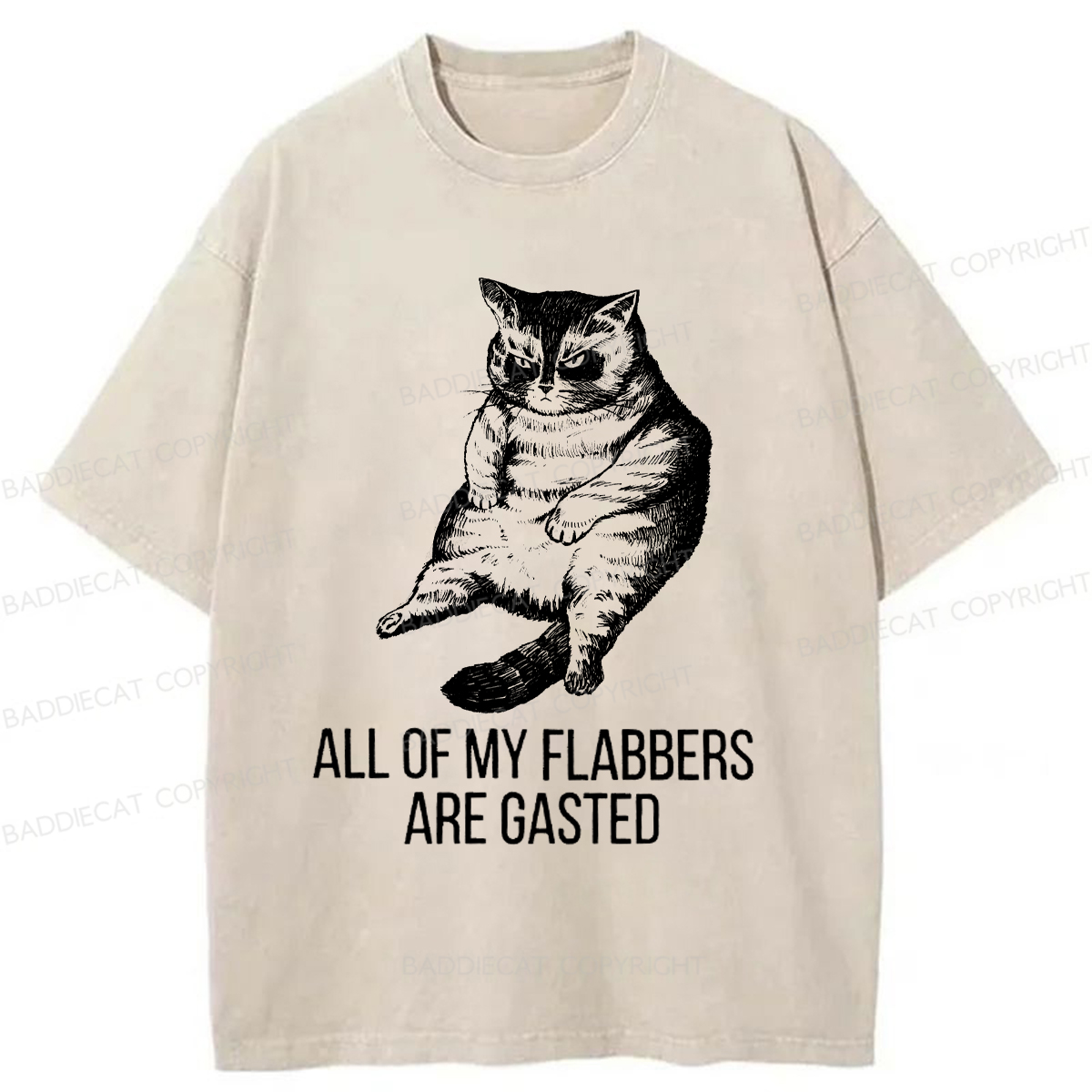 Baddiecat ALL OF MY FLABBERS ARE GASTED Washed T-shirt