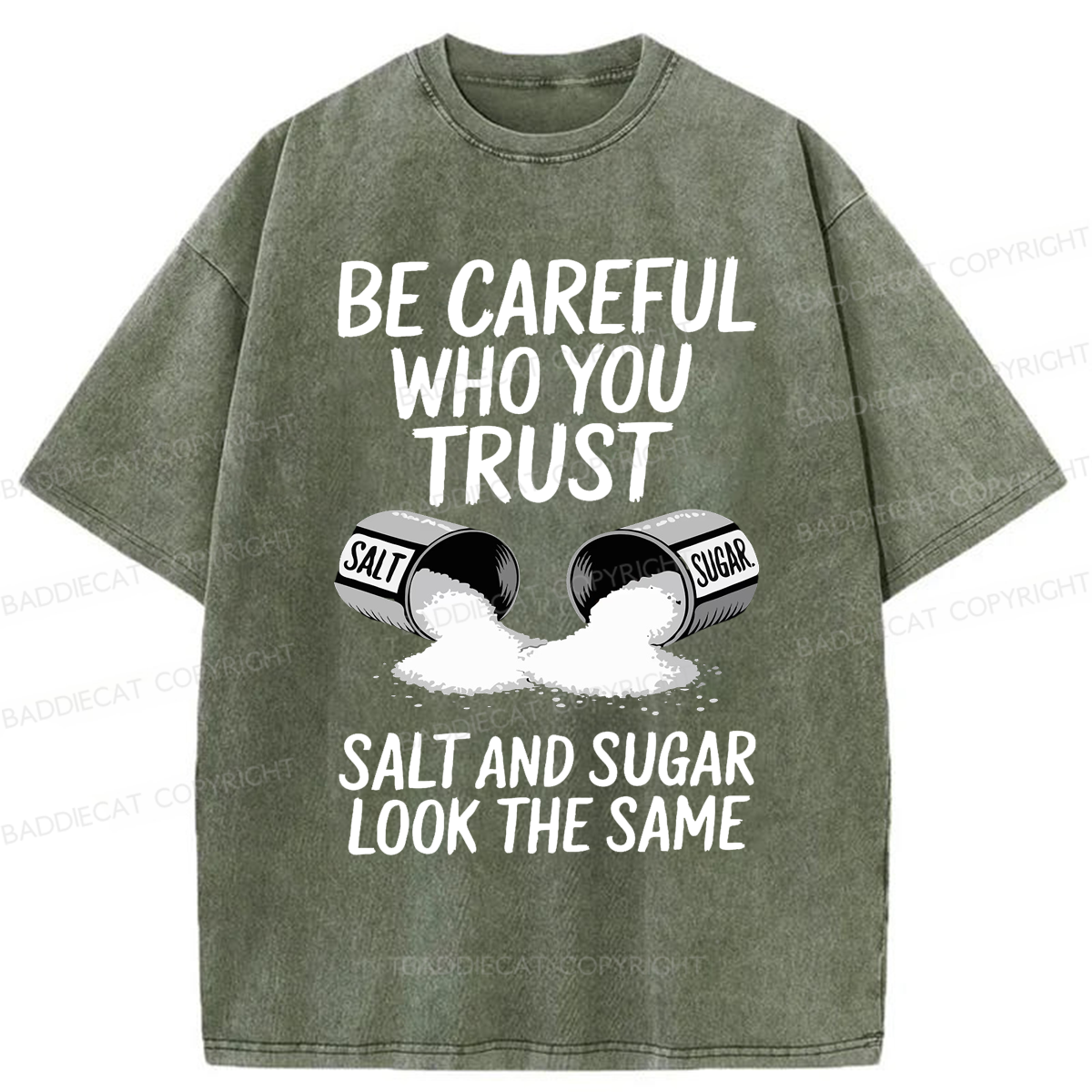 Baddiecat Funny Lifestyle Washed T-shirt