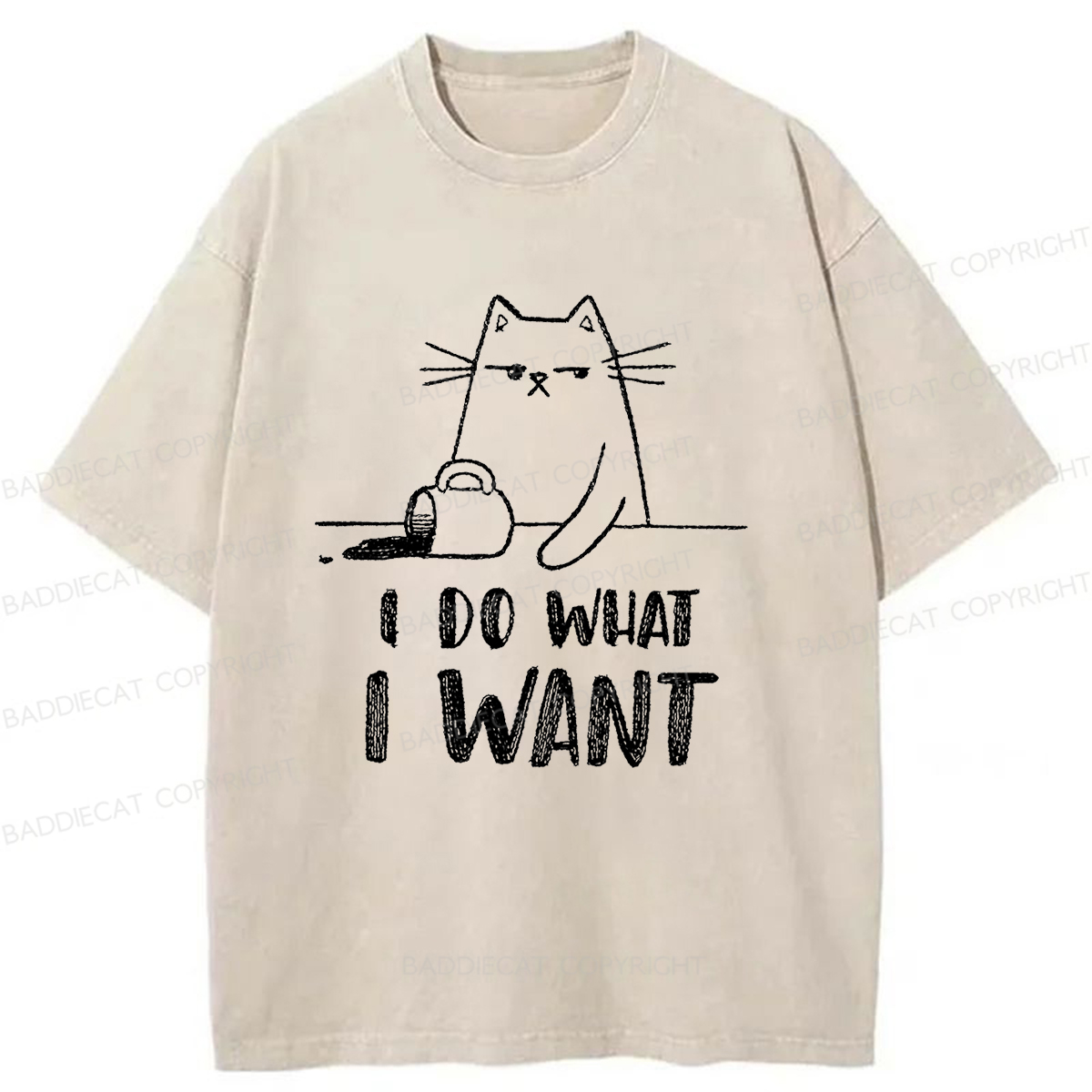 Baddiecat Do What I Want To Do Washed T-shirt