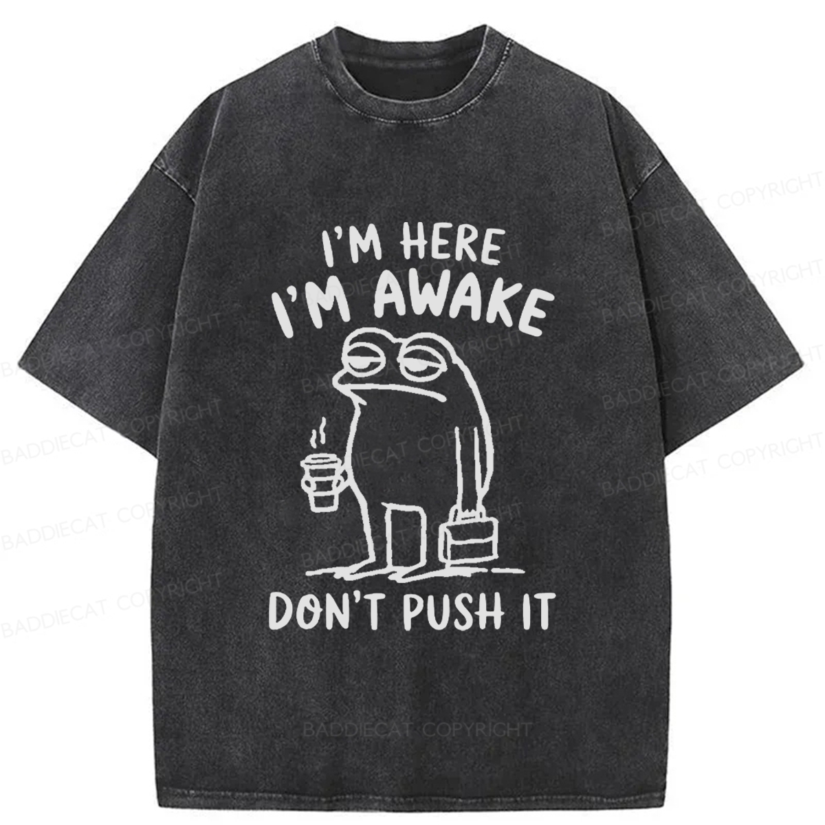 Baddiecat Sleep-deprived Frog Washed T-shirt
