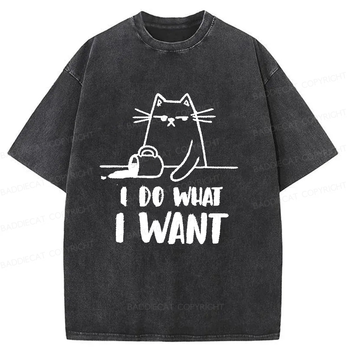 Baddiecat Do What I Want To Do Washed T-shirt