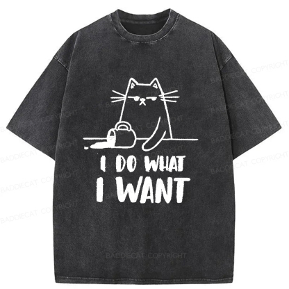 Baddiecat Do What I Want To Do Washed T-shirt