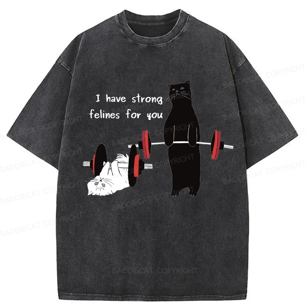 Baddiecat Powerful Cat Washed T-shirt
