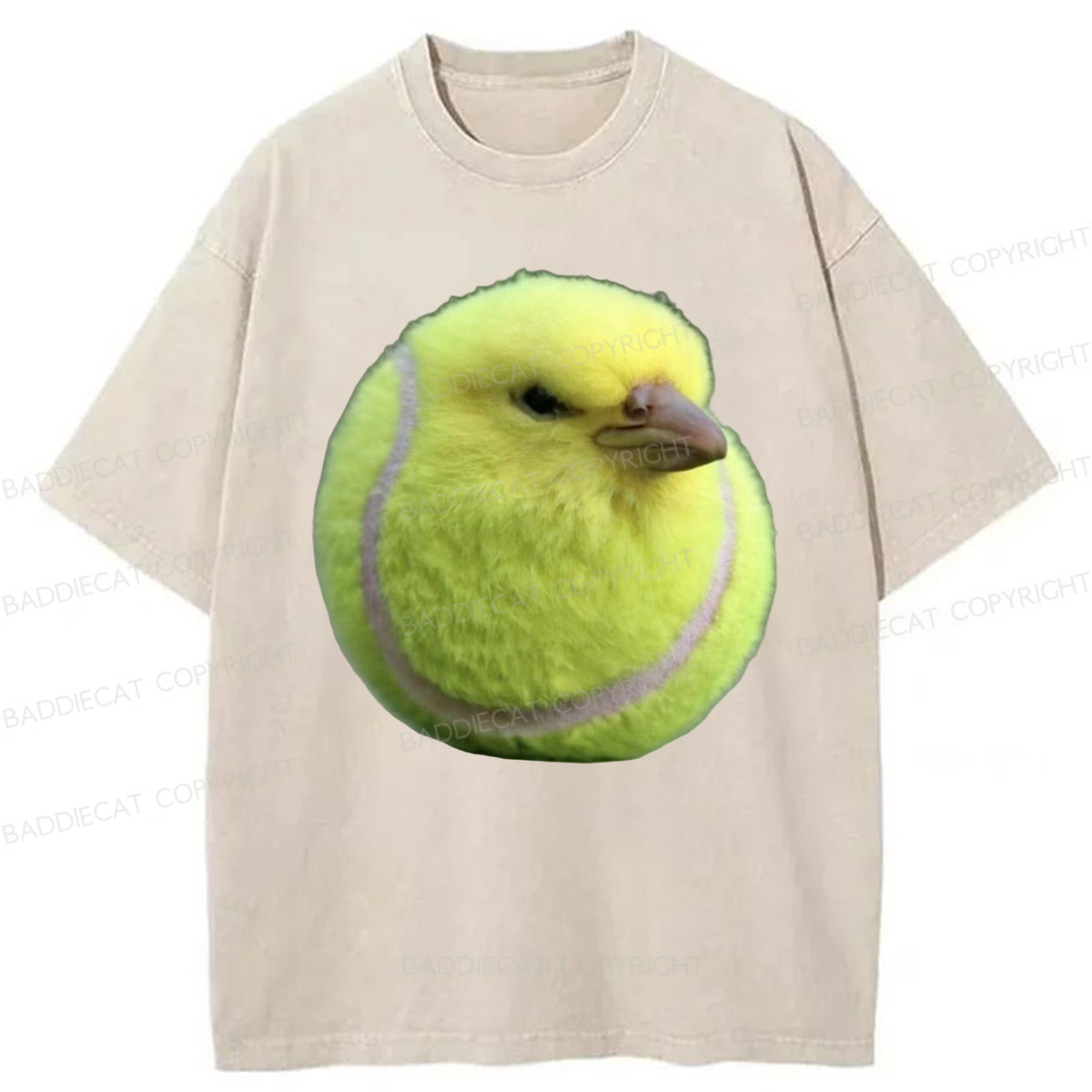 Baddiecat Silly Bird Meme Washed T-shirt