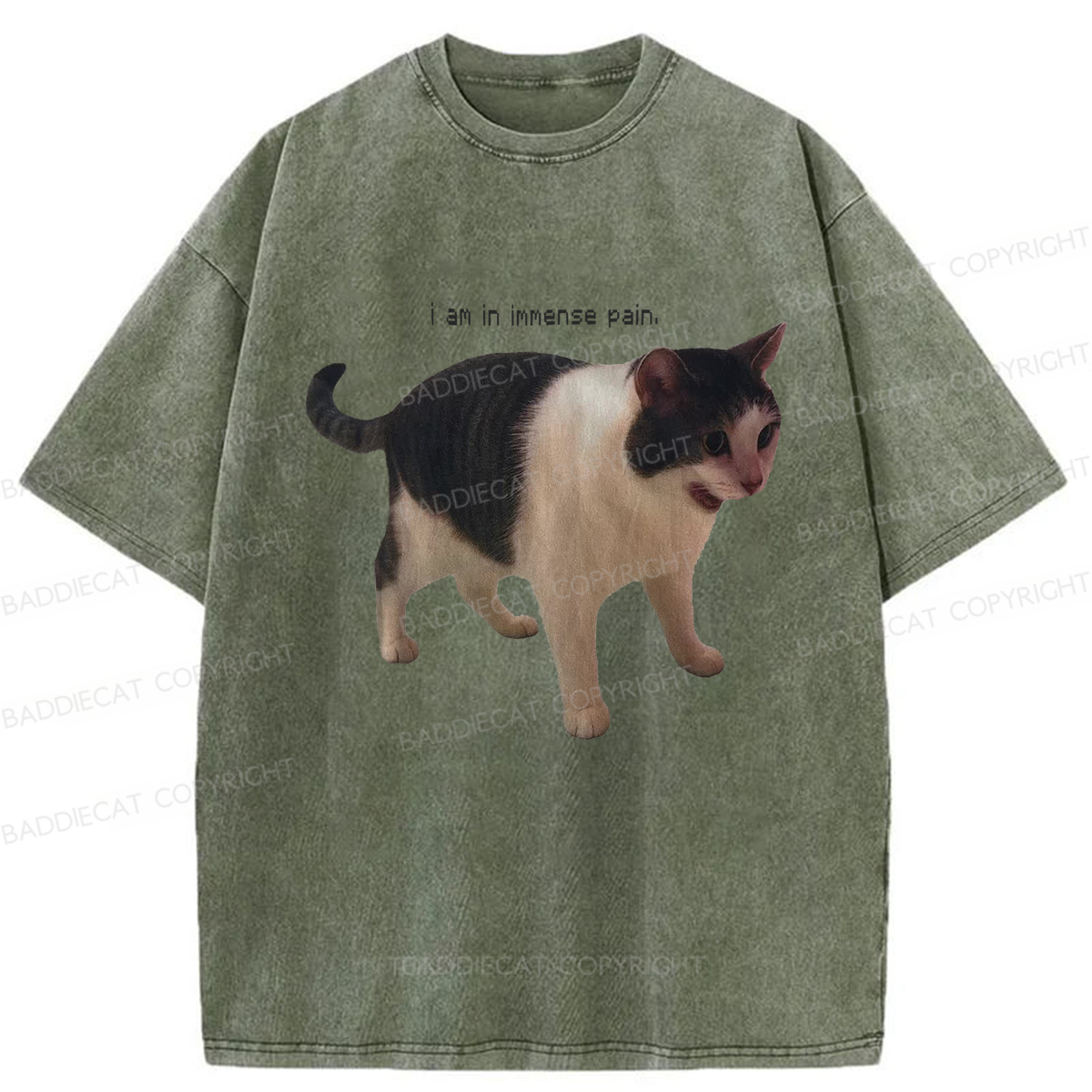 Baddiecat Immense Pain Cat Washed T-shirt