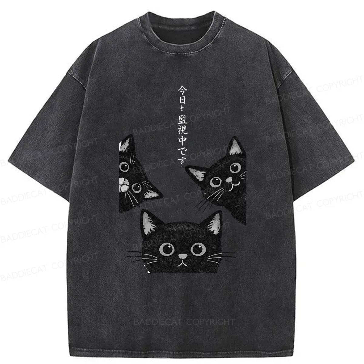Baddiecat Japanese The Cat Is Watching Today Washed T-shirt