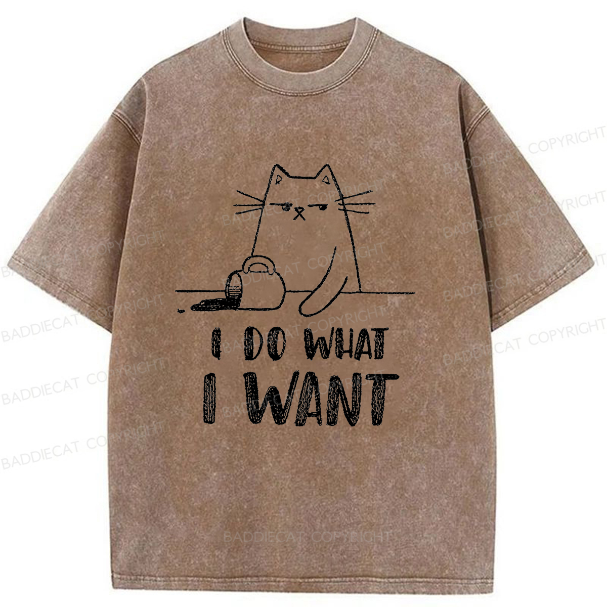 Baddiecat Do What I Want To Do Washed T-shirt