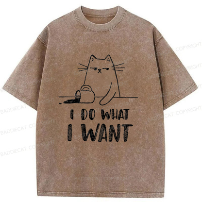 Baddiecat Do What I Want To Do Washed T-shirt