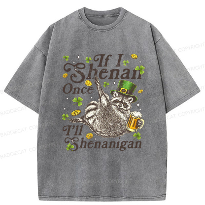 Baddiecat If I Shenan Once I'll Shenanigan Washed T-shirt