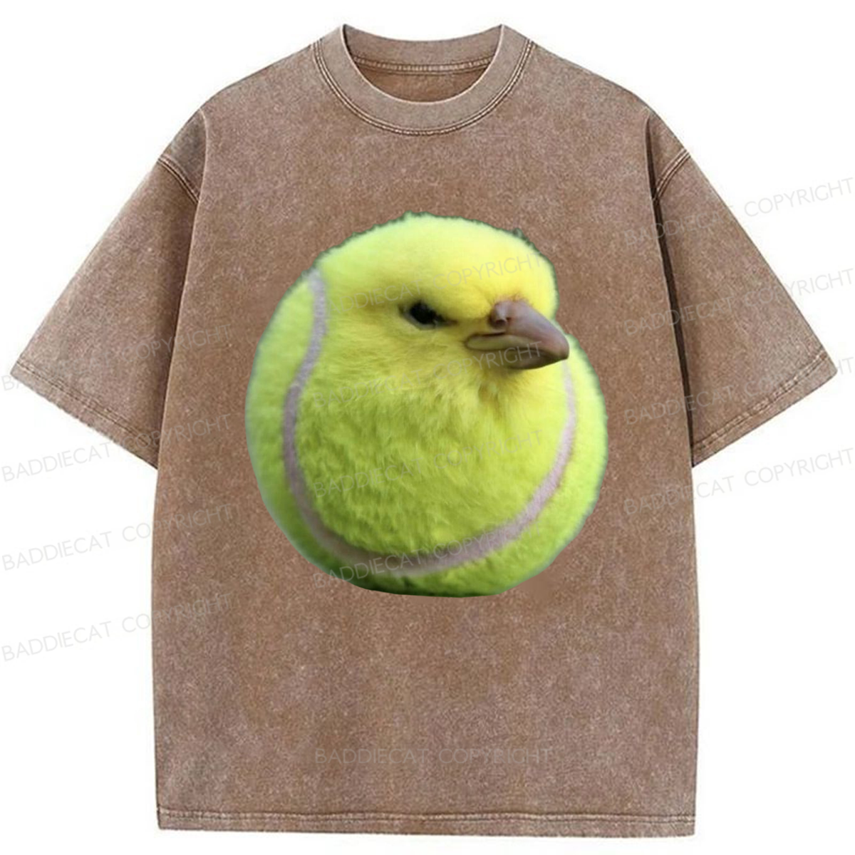 Baddiecat Silly Bird Meme Washed T-shirt