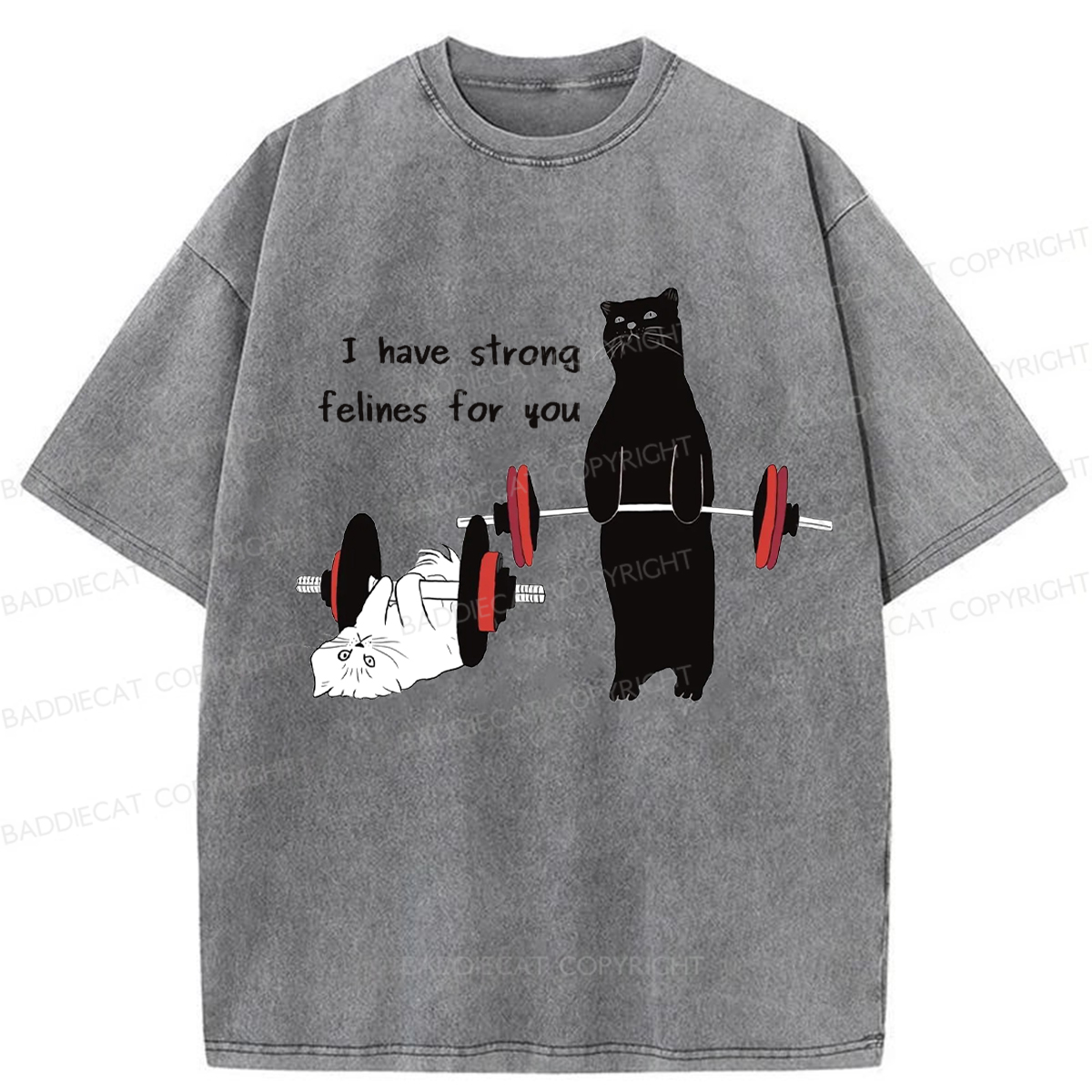 Baddiecat Powerful Cat Washed T-shirt