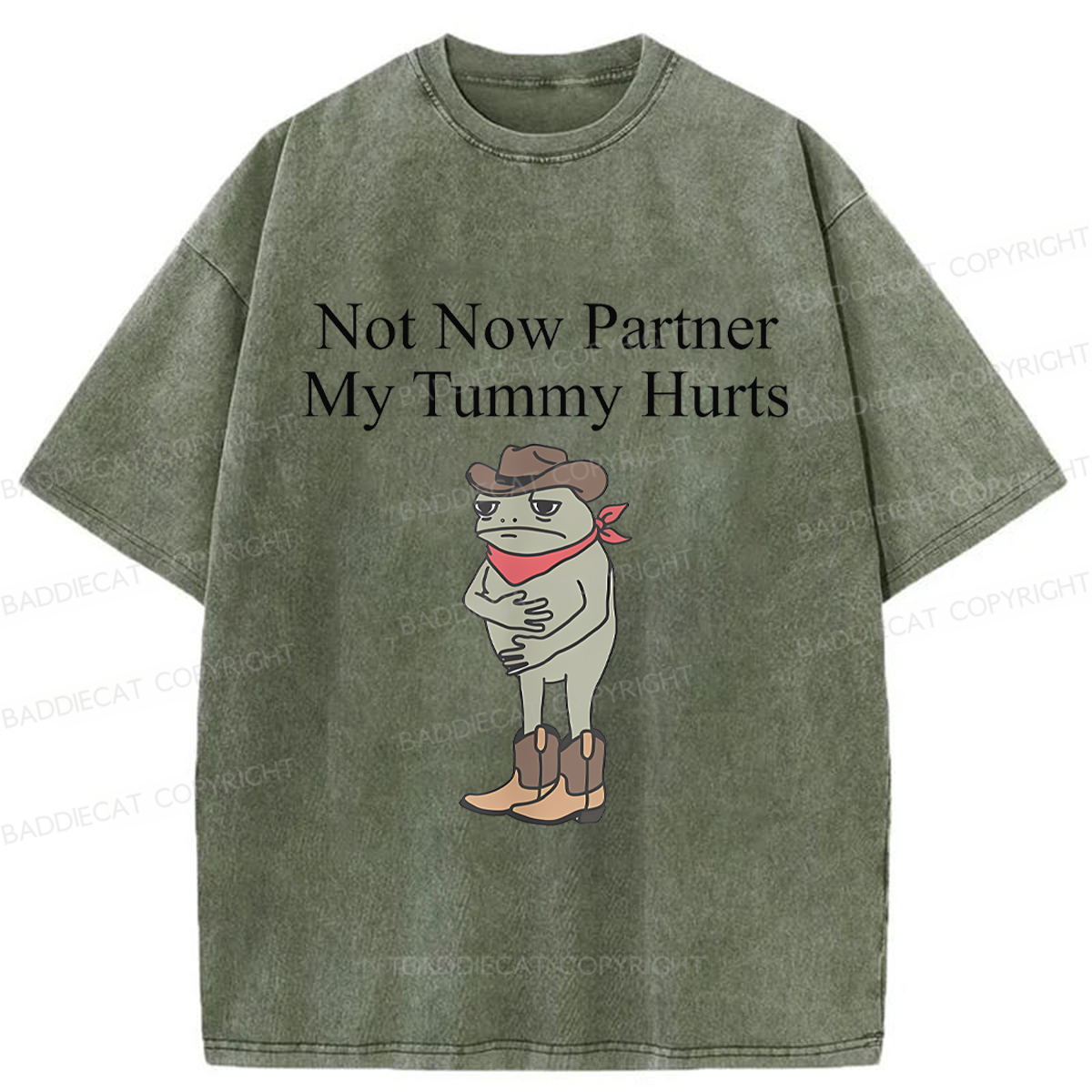 Baddiecat Not Now Partner My Tummy Hurts Frog Funny Washed T-shirt