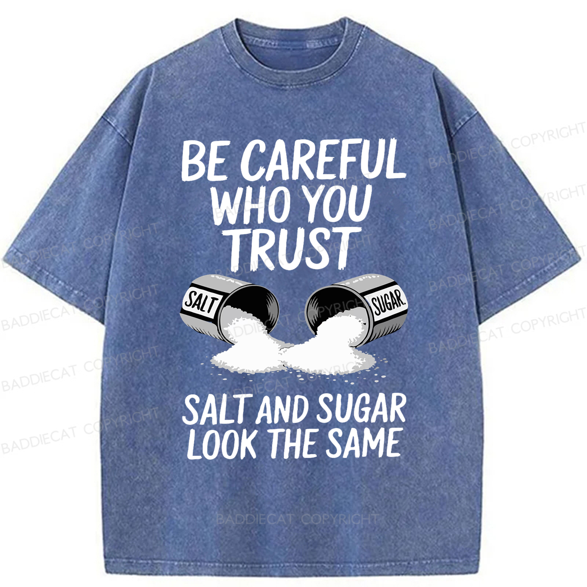 Baddiecat Funny Lifestyle Washed T-shirt