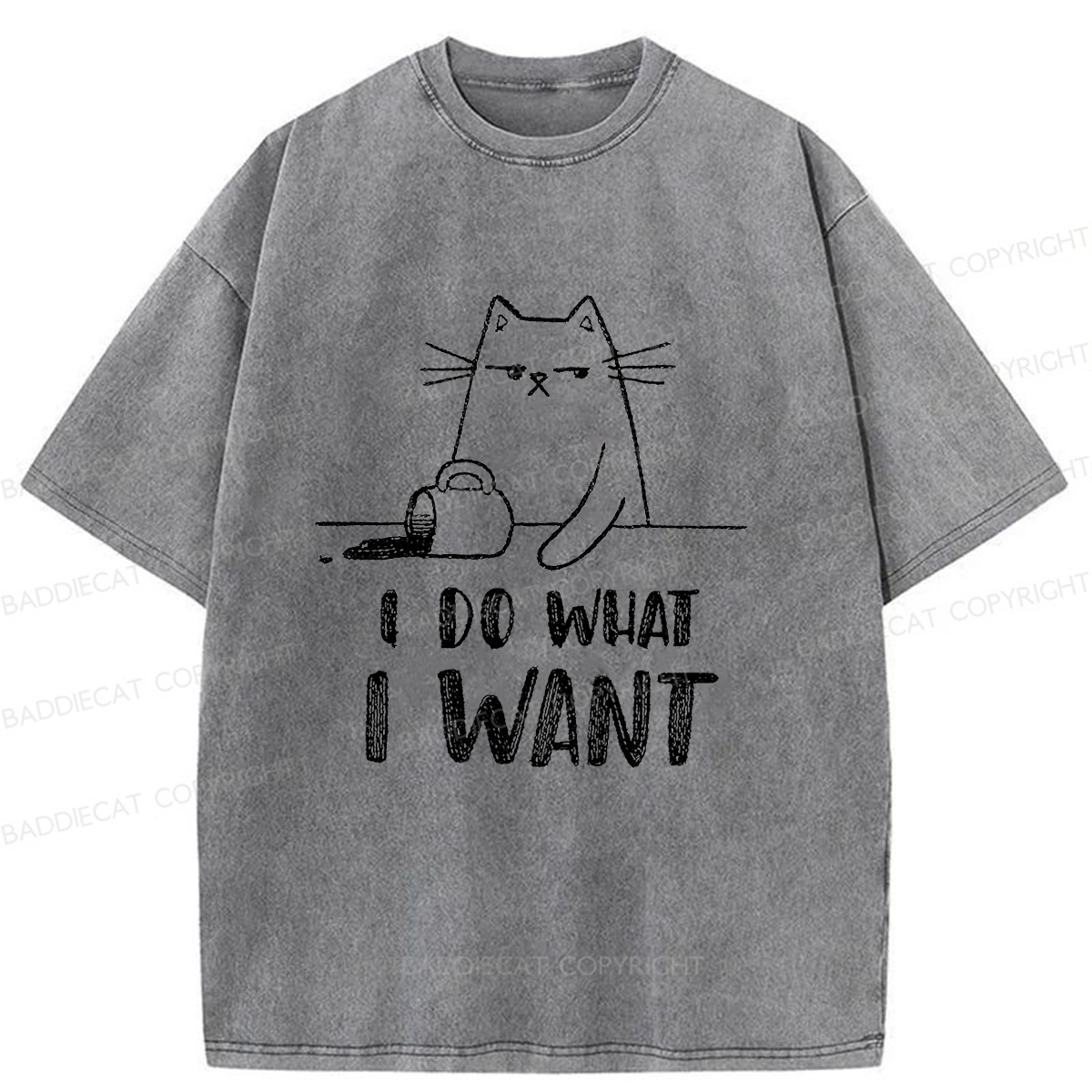 Baddiecat Do What I Want To Do Washed T-shirt