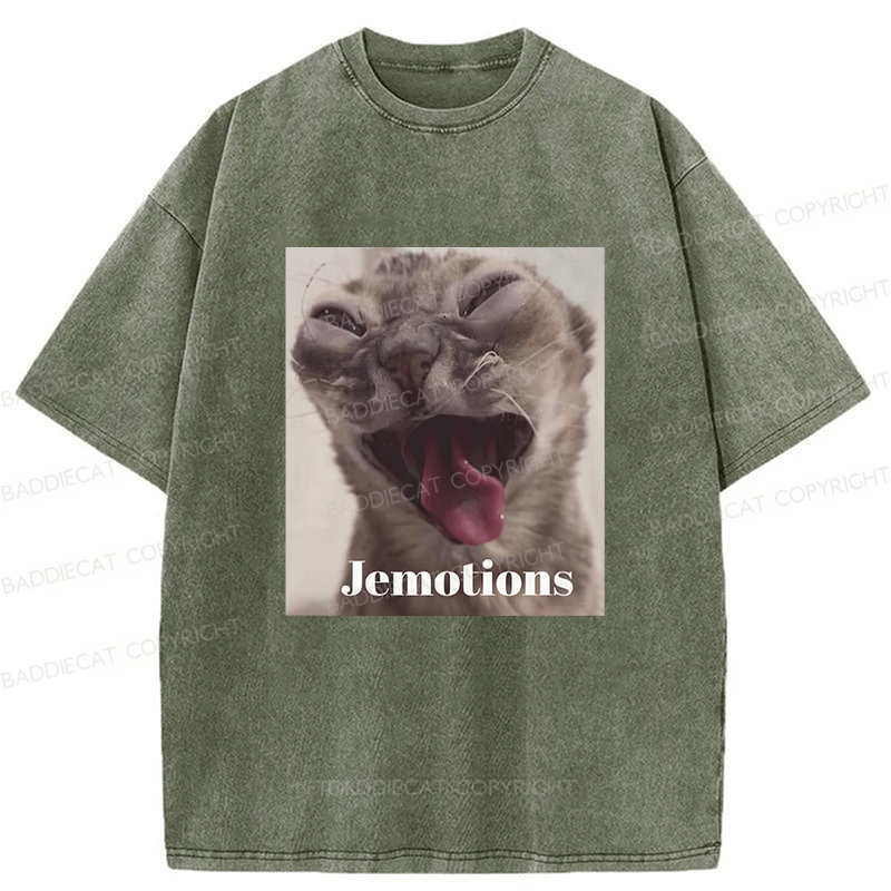 Baddiecat Cat Meme Funny Washed T-shirt
