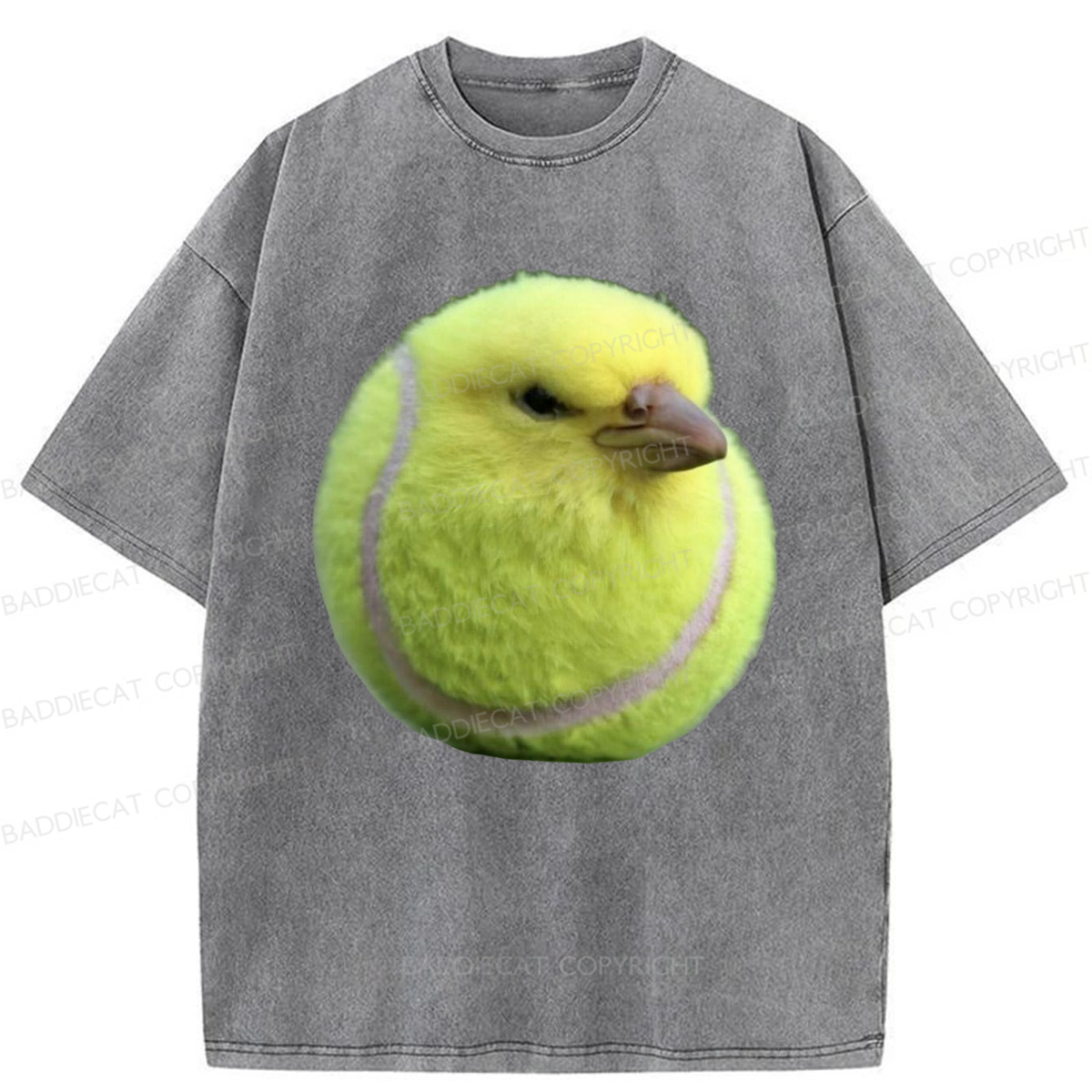 Baddiecat Silly Bird Meme Washed T-shirt