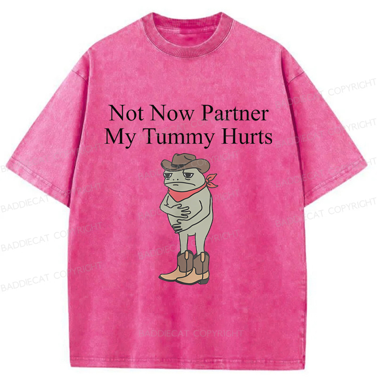 Baddiecat Not Now Partner My Tummy Hurts Frog Funny Washed T-shirt
