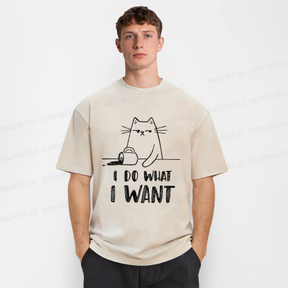 Baddiecat Do What I Want To Do Washed T-shirt