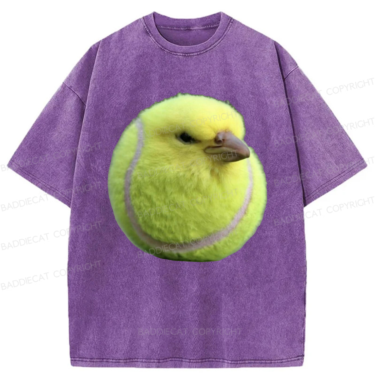 Baddiecat Silly Bird Meme Washed T-shirt