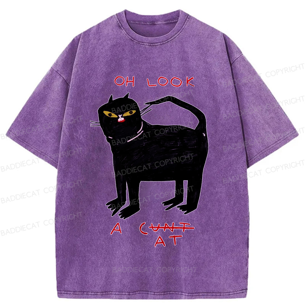 Baddiecat Funny Cat Washed T-shirt