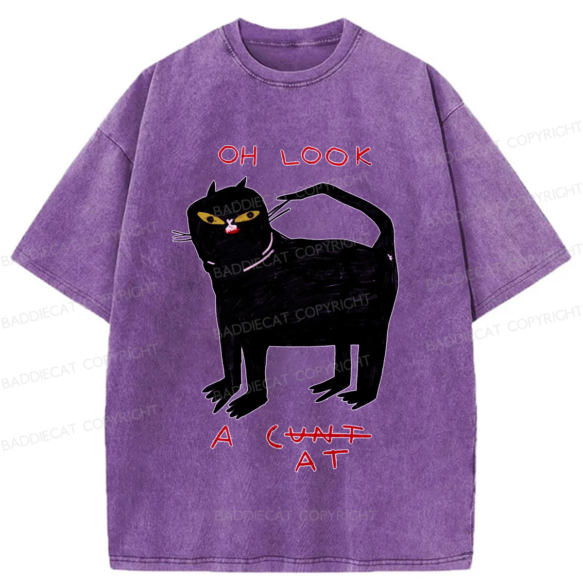 Baddiecat Funny Cat Washed T-shirt