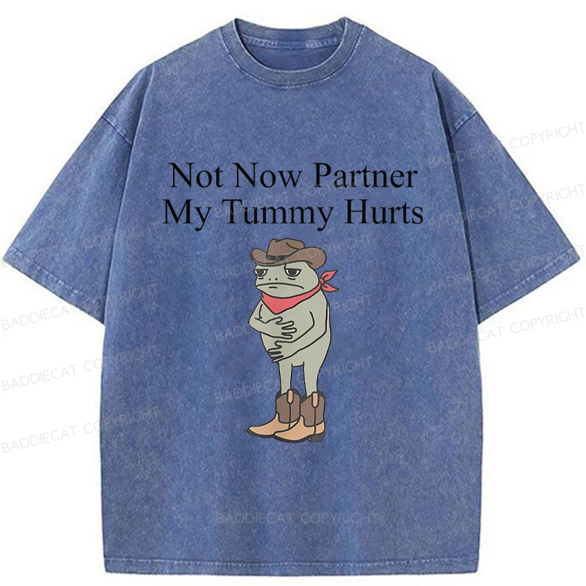 Baddiecat Not Now Partner My Tummy Hurts Frog Funny Washed T-shirt