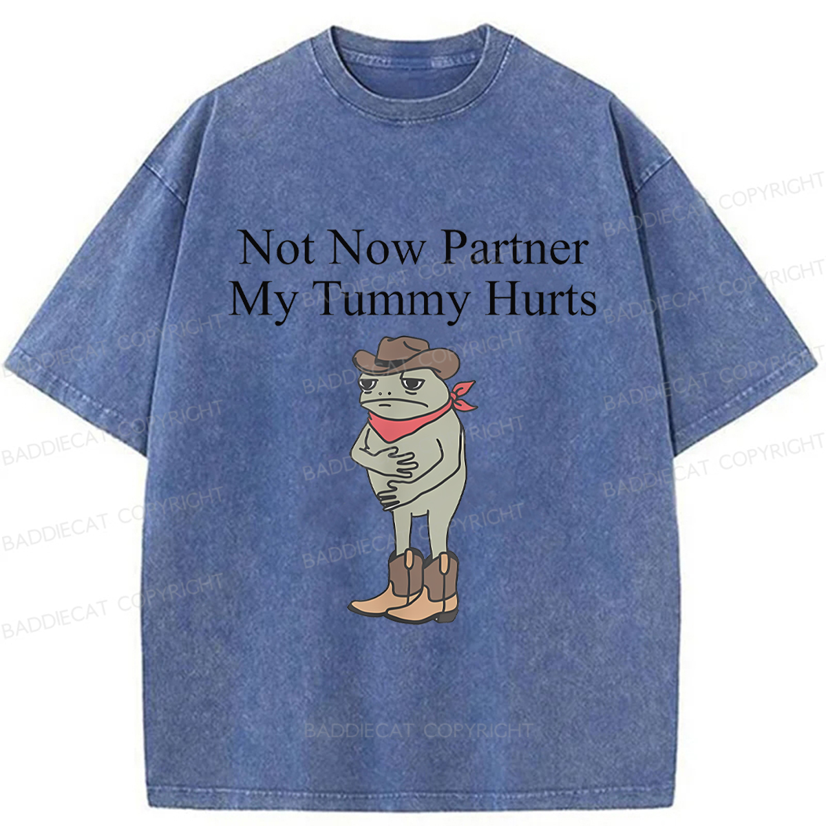 Baddiecat Not Now Partner My Tummy Hurts Frog Funny Washed T-shirt