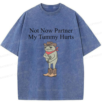 Baddiecat Not Now Partner My Tummy Hurts Frog Funny Washed T-shirt