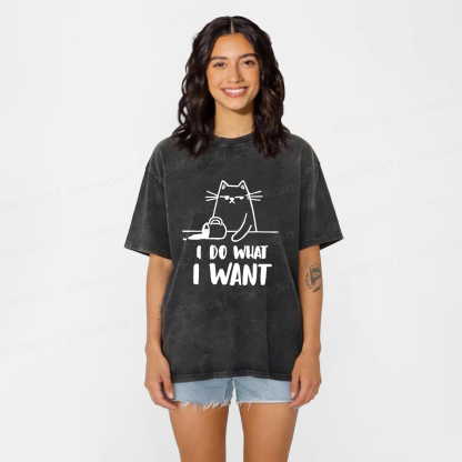 Baddiecat Do What I Want To Do Washed T-shirt