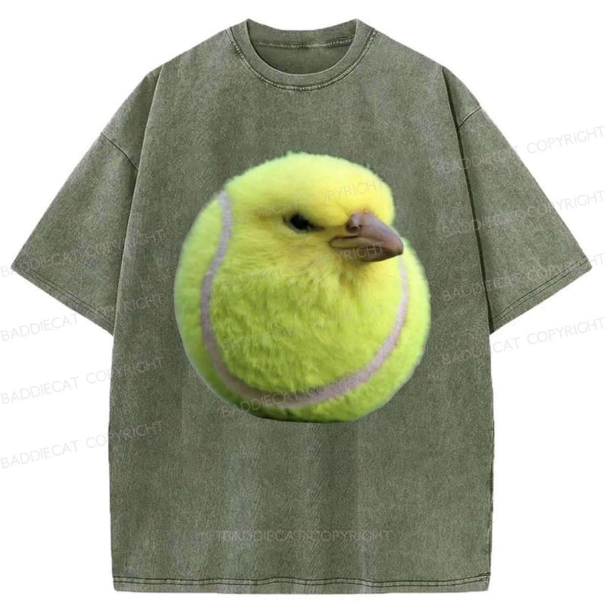 Baddiecat Silly Bird Meme Washed T-shirt