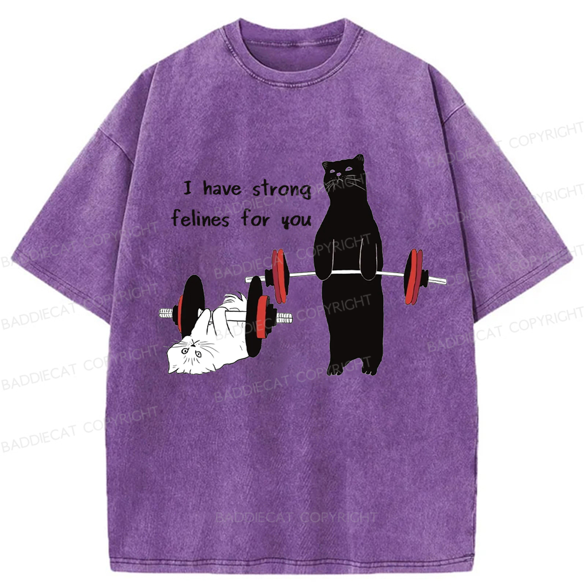 Baddiecat Powerful Cat Washed T-shirt