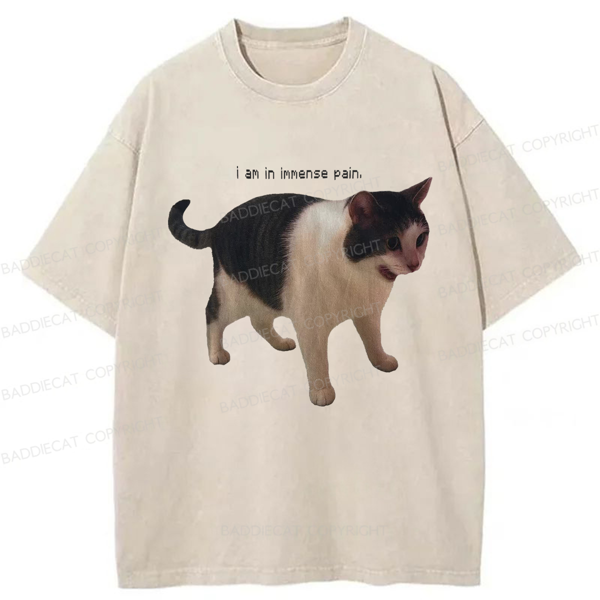 Baddiecat Immense Pain Cat Washed T-shirt