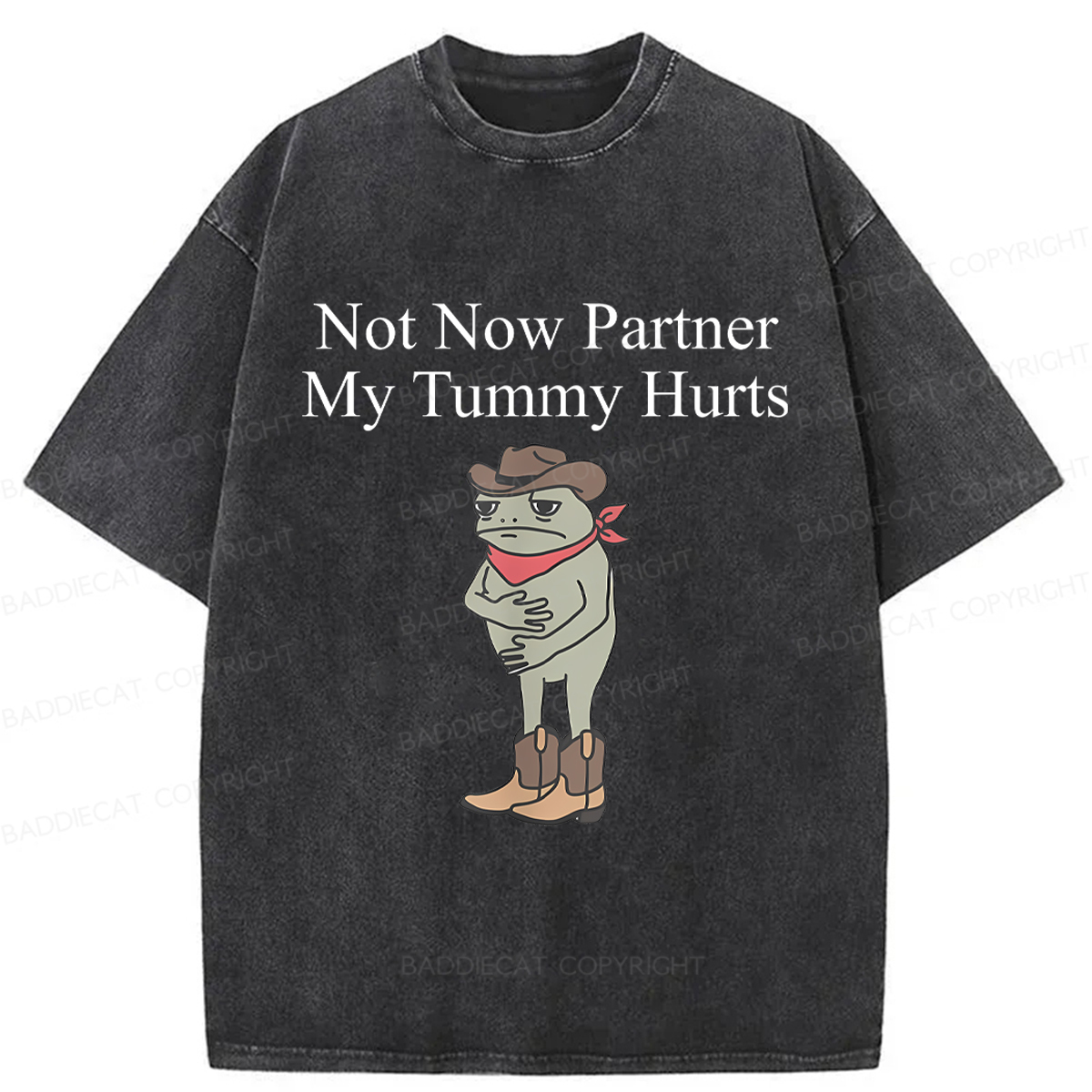 Baddiecat Not Now Partner My Tummy Hurts Frog Funny Washed T-shirt
