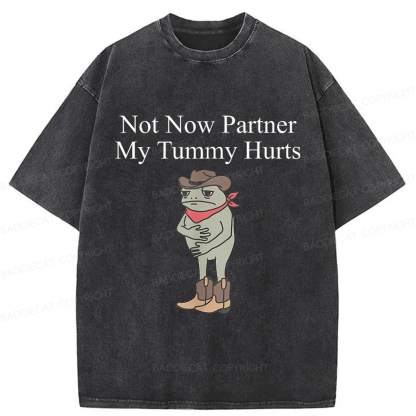 Baddiecat Not Now Partner My Tummy Hurts Frog Funny Washed T-shirt