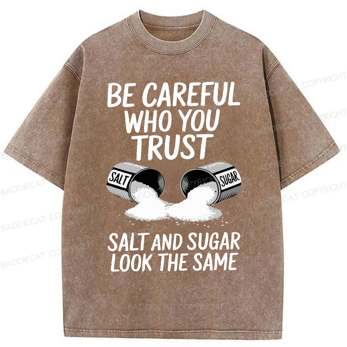 Baddiecat Funny Lifestyle Washed T-shirt