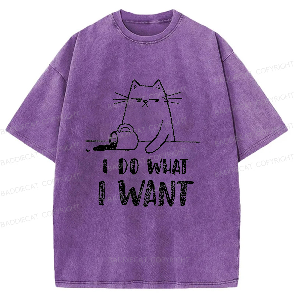 Baddiecat Do What I Want To Do Washed T-shirt