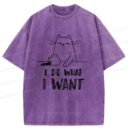 Baddiecat Do What I Want To Do Washed T-shirt