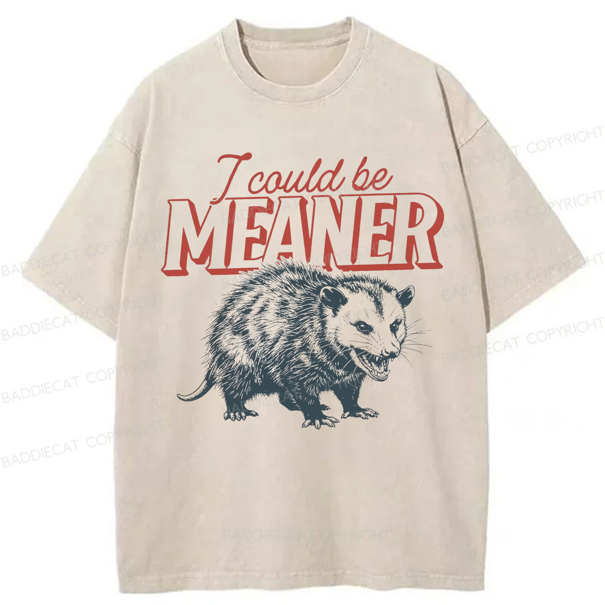 Baddiecat I Could Be Meaner Possum Washed T-shirt