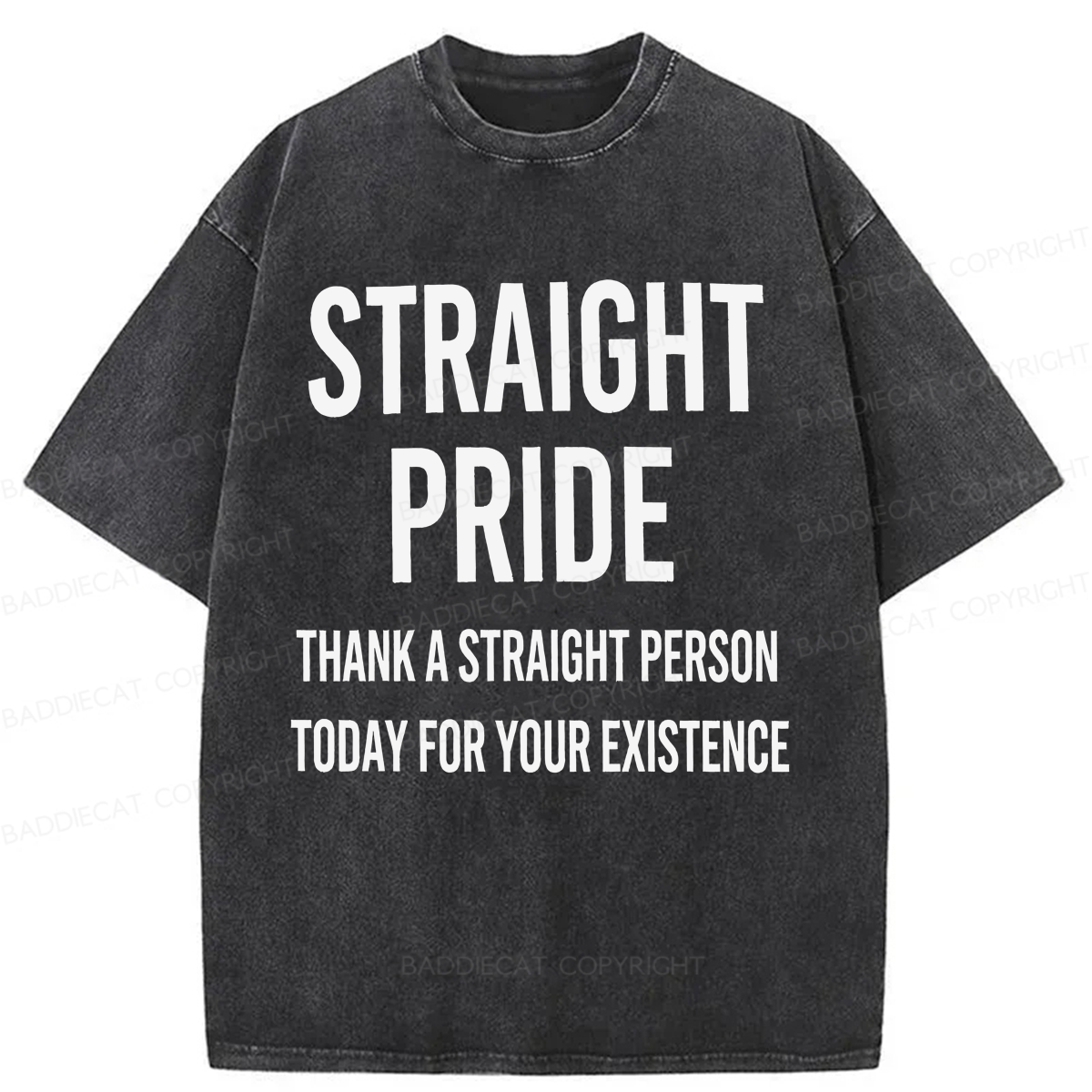 Baddiecat Straight Pride Washed T-shirt