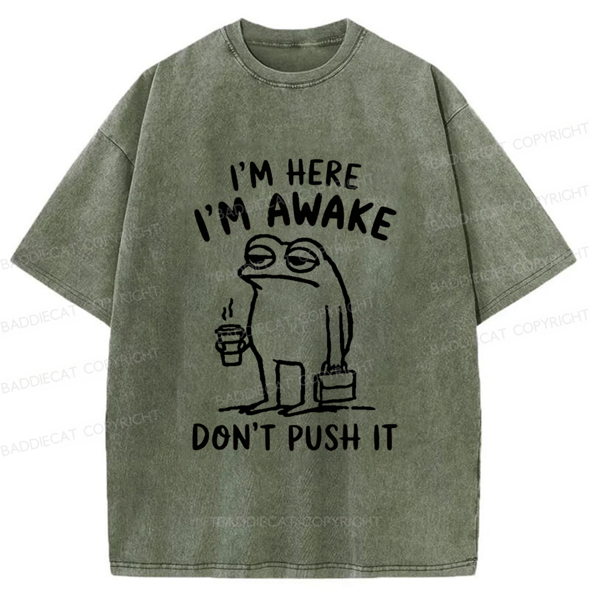 Baddiecat Sleep-deprived Frog Washed T-shirt