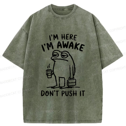 Baddiecat Sleep-deprived Frog Washed T-shirt