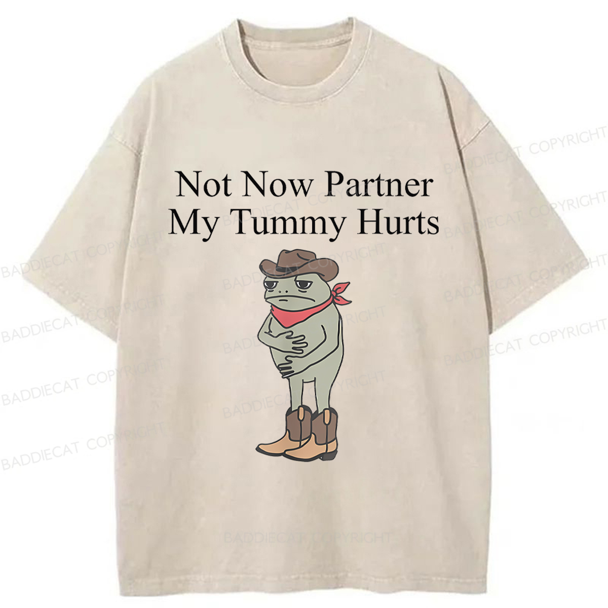Baddiecat Not Now Partner My Tummy Hurts Frog Funny Washed T-shirt