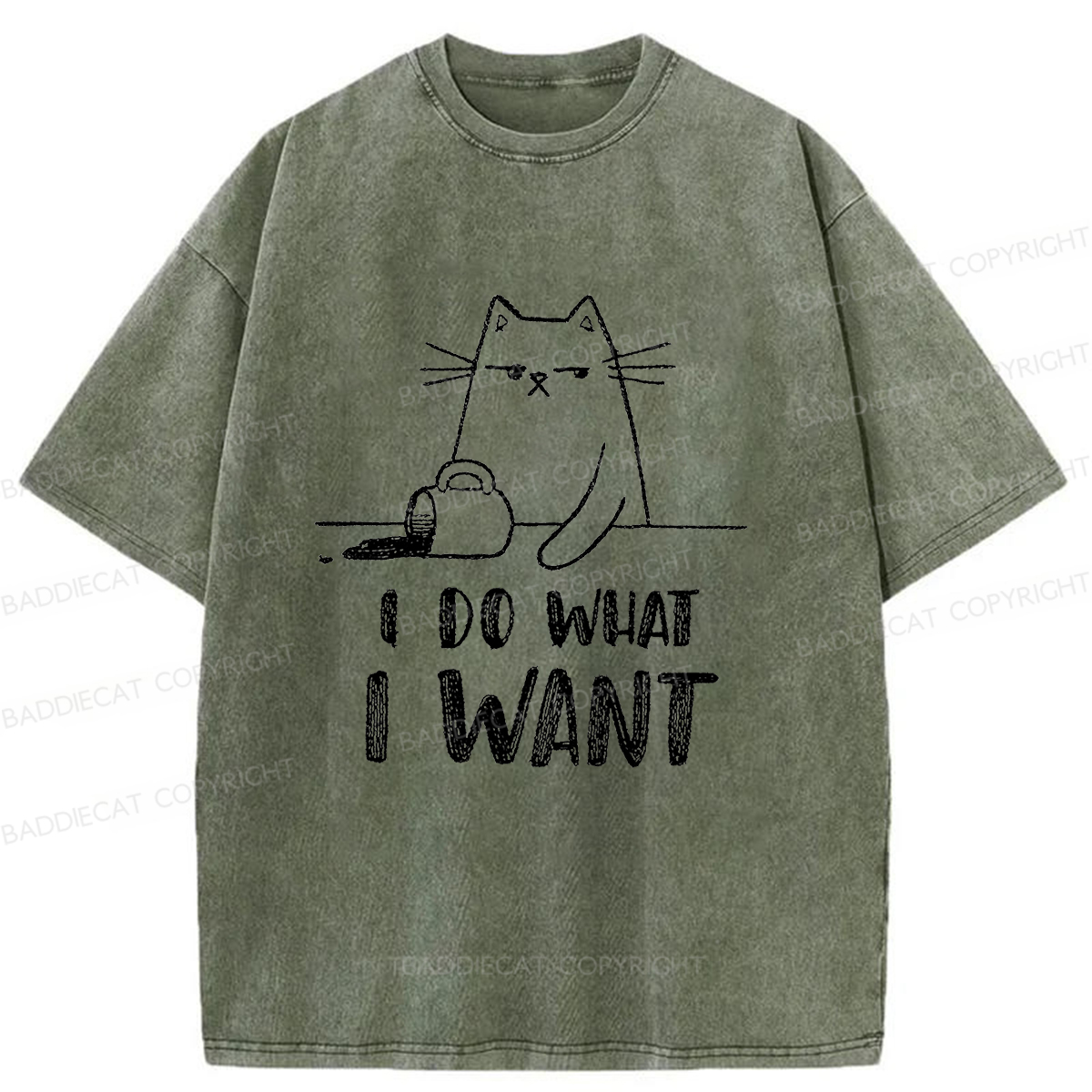 Baddiecat Do What I Want To Do Washed T-shirt