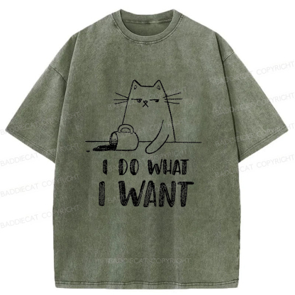 Baddiecat Do What I Want To Do Washed T-shirt