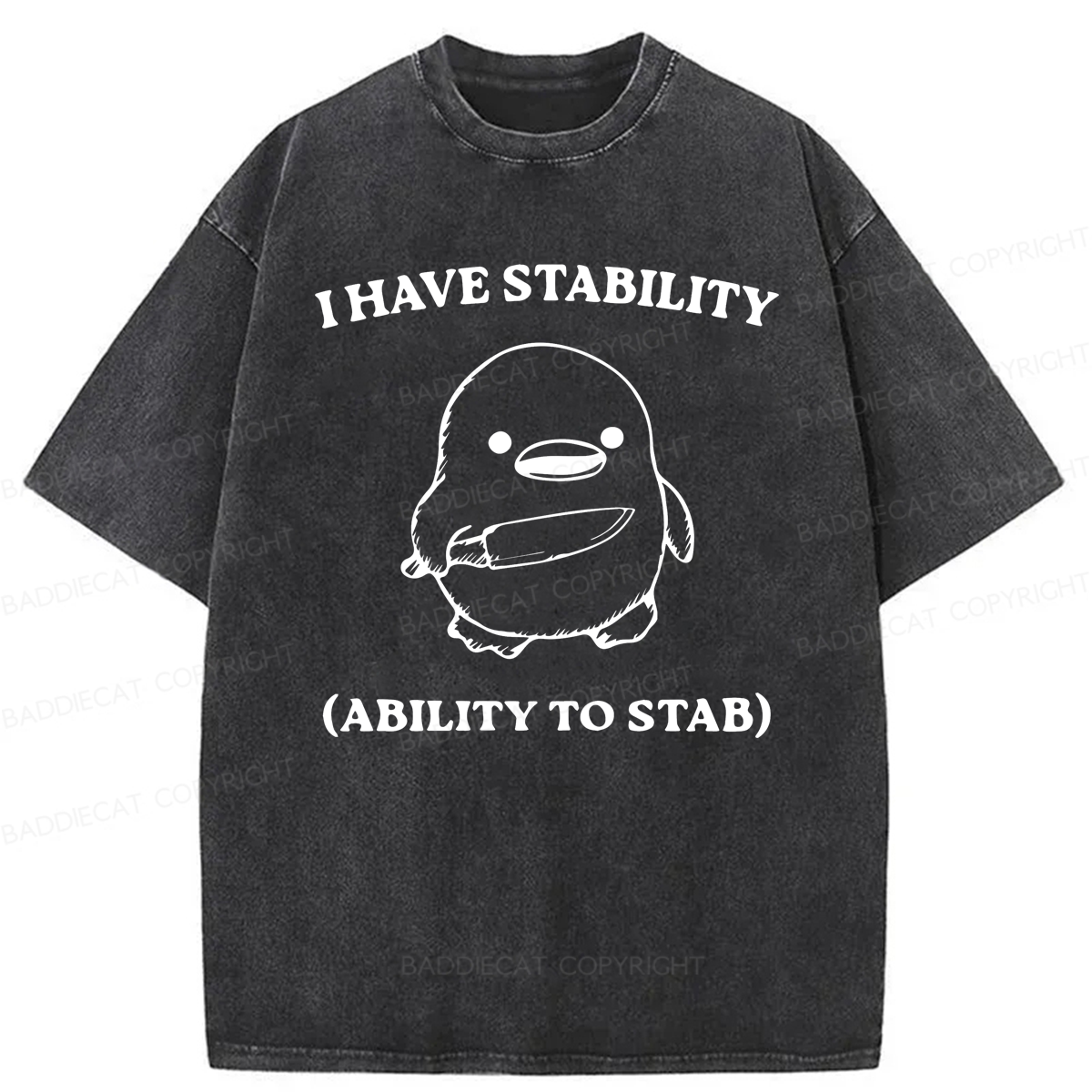 Baddiecat I Have Stability (Ability To Stab) Washed T-shirt