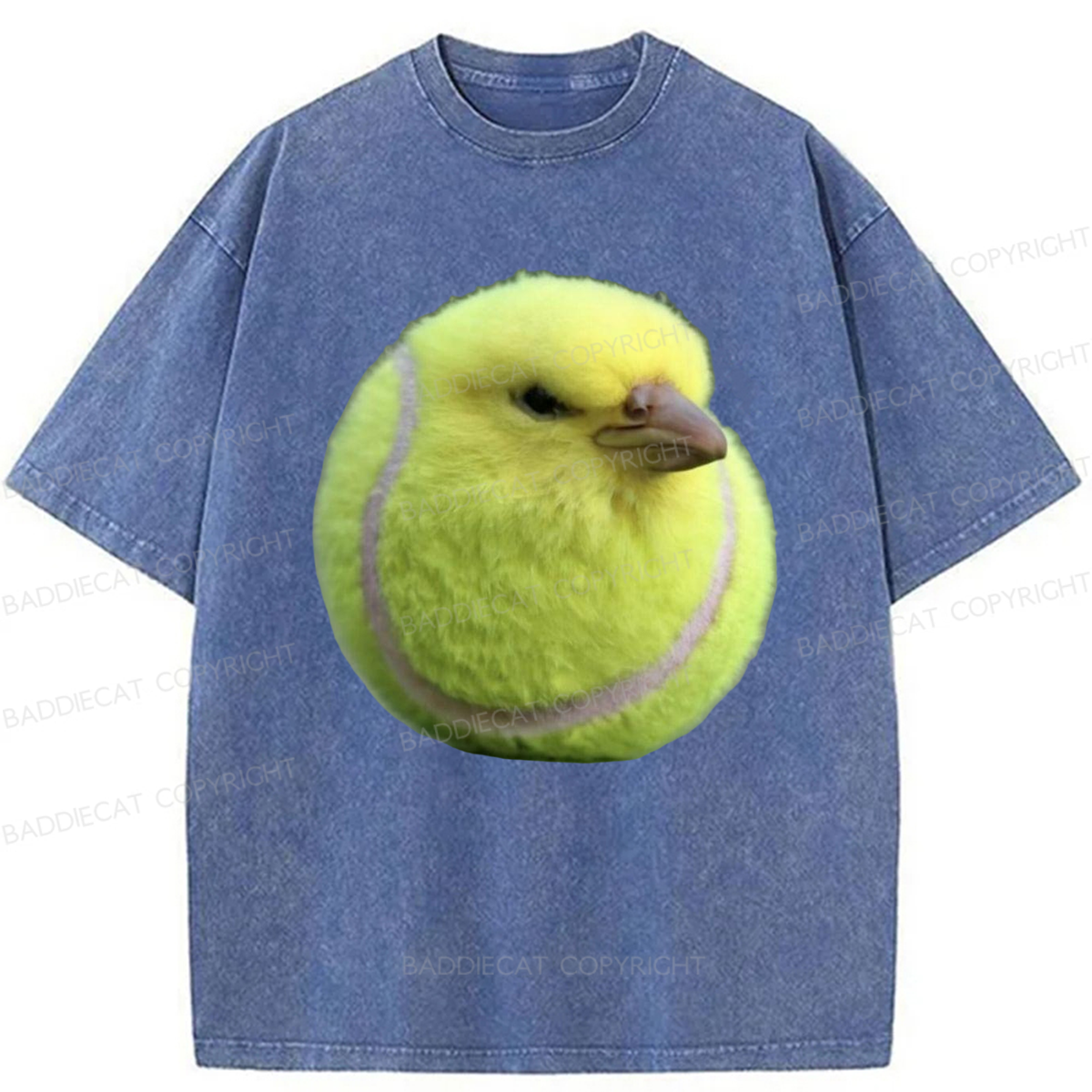Baddiecat Silly Bird Meme Washed T-shirt
